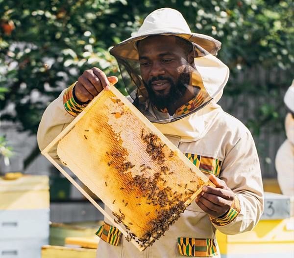 Delta Bees Team