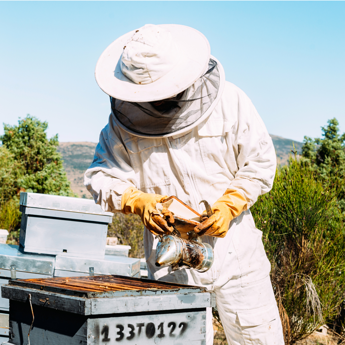 Delta Bees Apiary