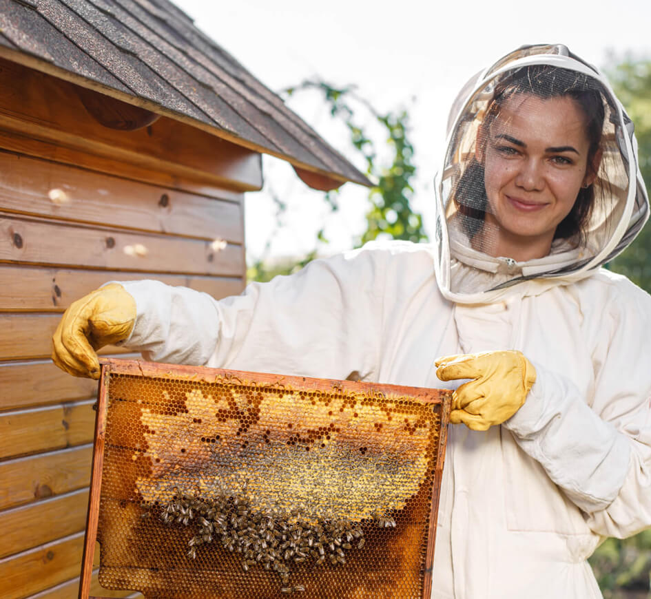 Delta Bees Training Session