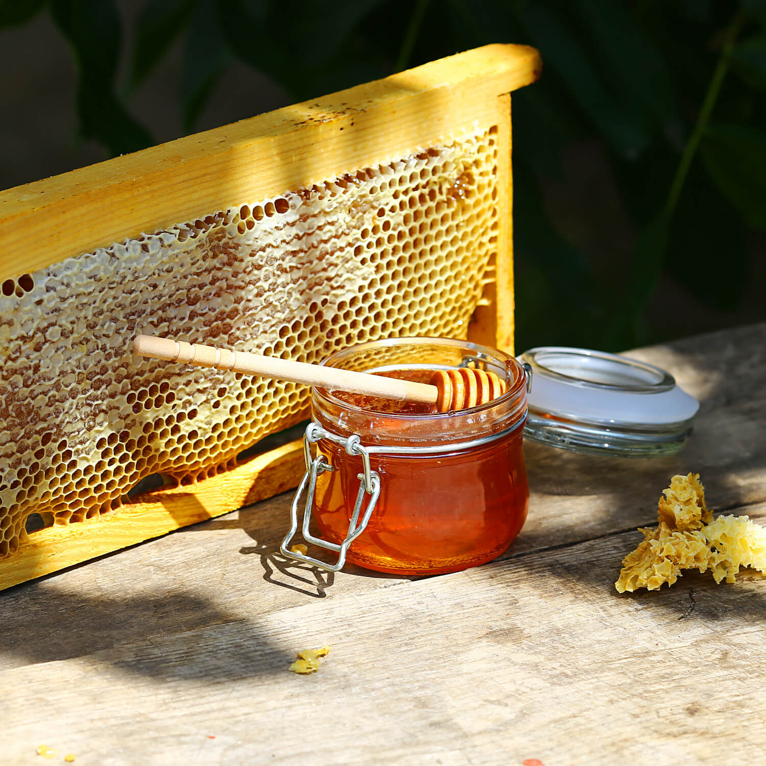 Fresh honeycomb with golden honey
