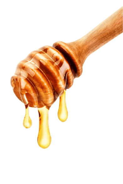 Delta Bees About Background