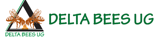 Delta Bees Logo